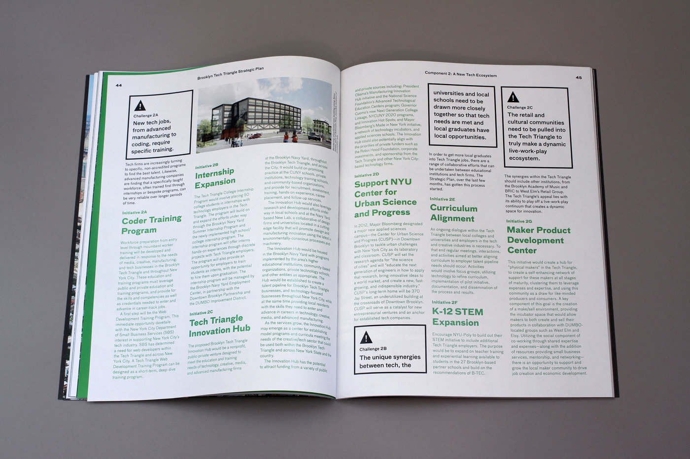 Brooklyn Tech Triangle Plan